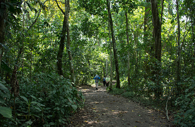 Path from way-station to Lake Pilchicocha