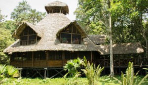 Sacha Lodge