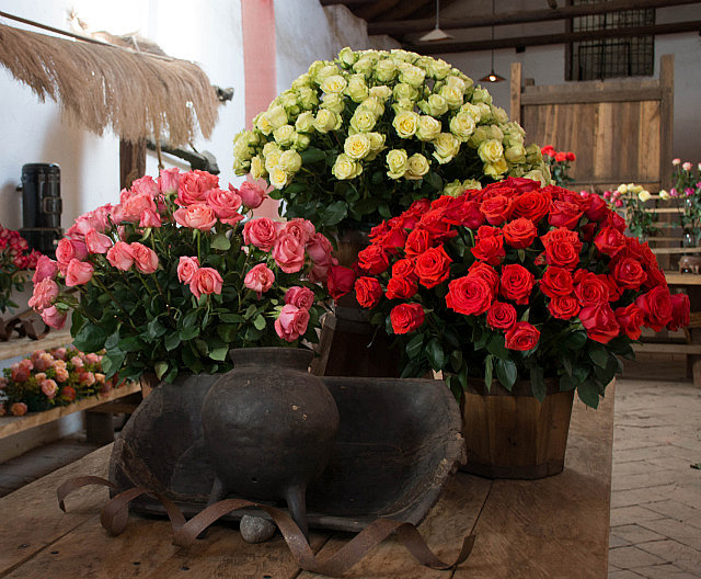 Bouquets in the showroom