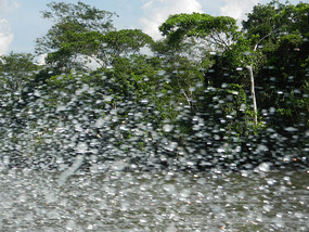 Napo River shore beyond splashes