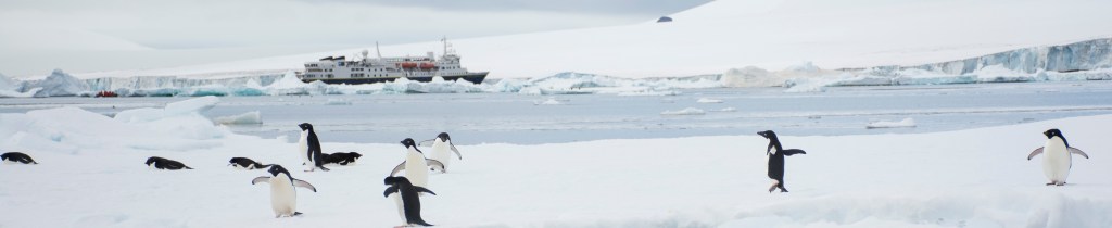 Antarctica Day 3 – Wildlife and&nbsp;more