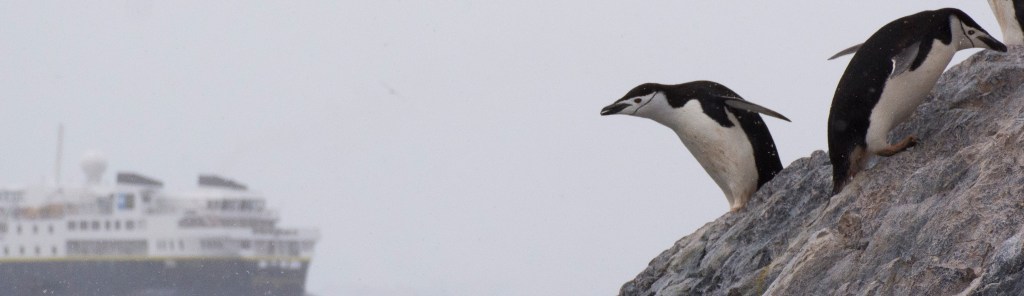 Antarctica Day 4 – Birds and&nbsp;more