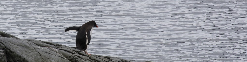 Antarctica Final Day 6 – Beauty and&nbsp;more