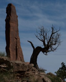 Another twisted tree