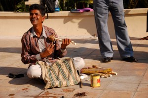 This magician entertained us for some time outside the Hotel Regaalis in Mysore. Here he is playing an instrument that sounded much like a violin.