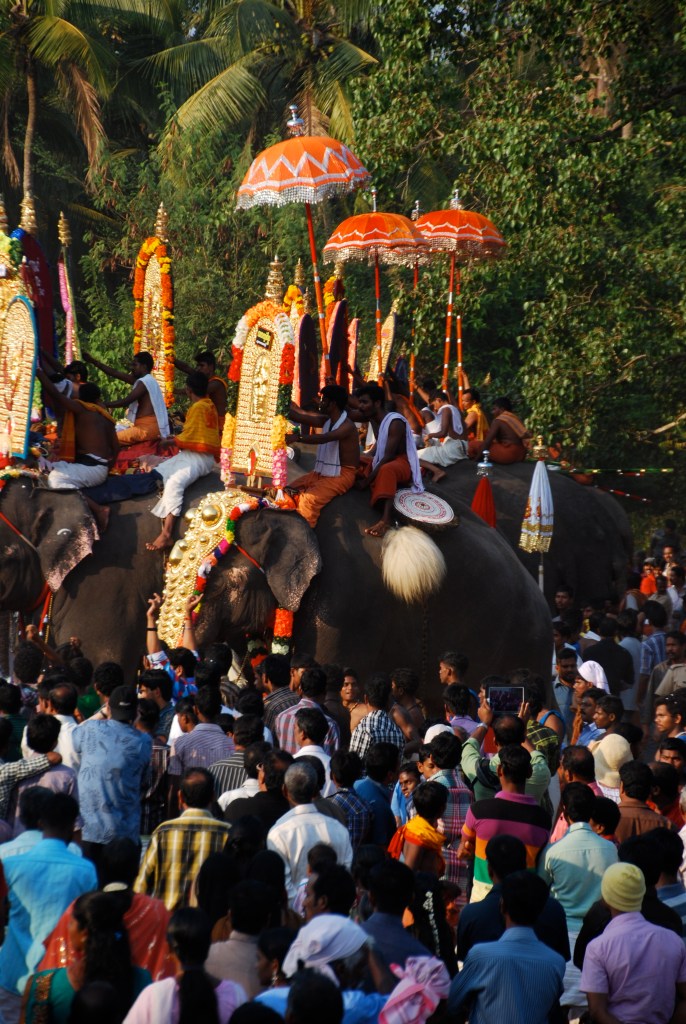 The crowd stays quite close to the elephants. I was a bit uneasy, but the elephants are chained :( and seem quite docile.
