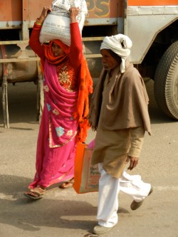 DSCN0442
