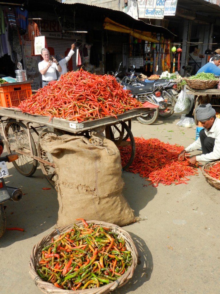 These peppers were for sale in the street market in Agra. They made my mouth burn just looking at them.