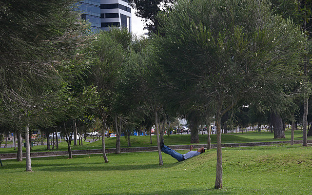 Gentleman enjoying the park