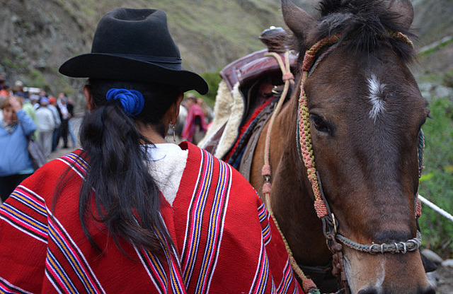 Horseback photos $1