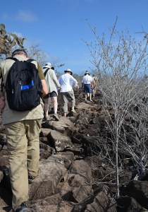Our "path" on Santa Fe Island