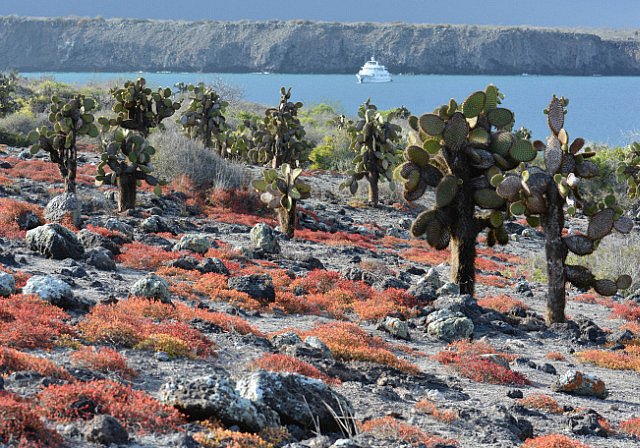 View from South Plaza Island toward the Coral II