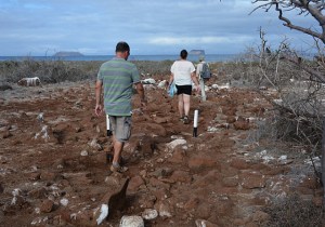 Our pathway on North Seymour Island