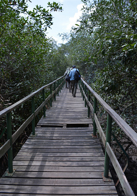 On the way to the Churute estuary