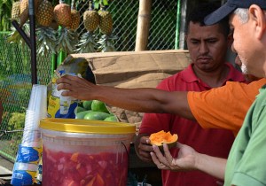 Zapote fruit