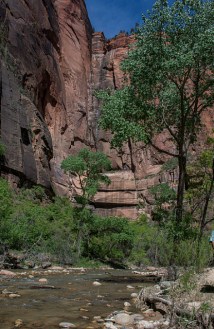 End of the canyon at the Temple of Sinawava