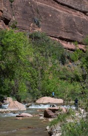 Small waterfall on the Virgin River