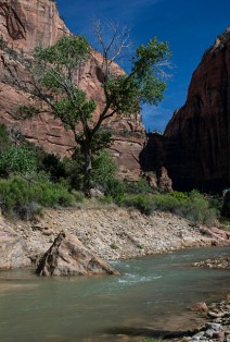 The Virgin River again