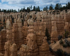 So many hoodoos!
