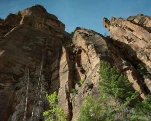 View from the bus, Zion National Park