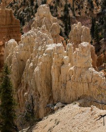 White hoodoos