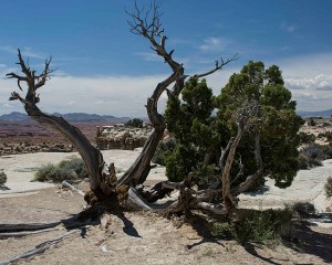 Desert view on way to Moab