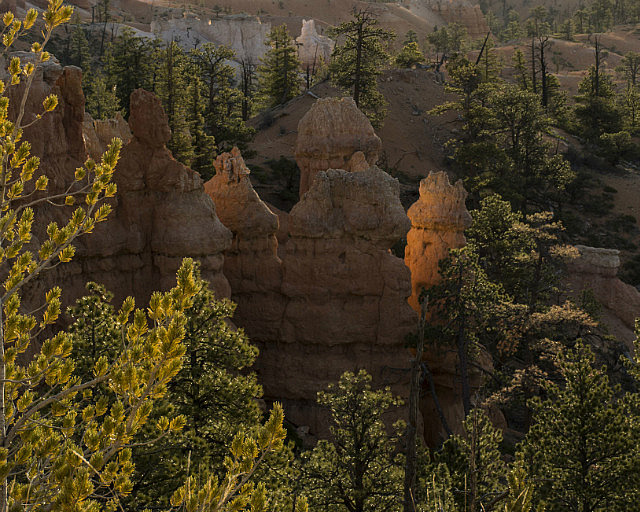Reflected light from one hoodoo onto another
