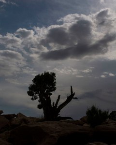 At Dead Horse Point State Park