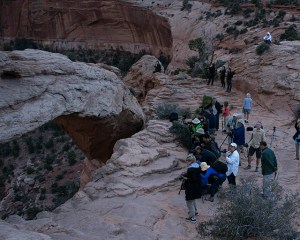 Phalanx of immovable photographers