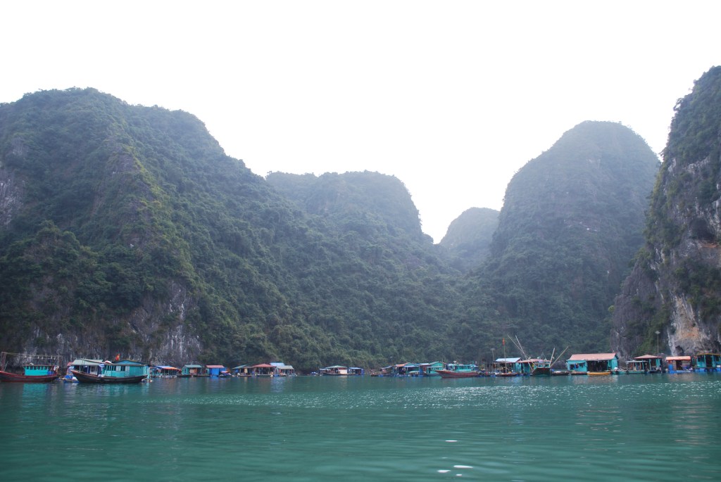 Floating village, Ha Long Bay