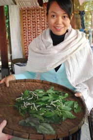Owner Val with a tray of silkworms