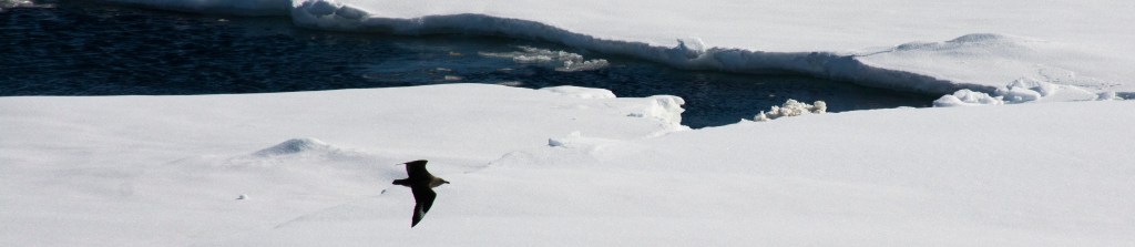 Antarctica Day 5 – Wonderment and&nbsp;more