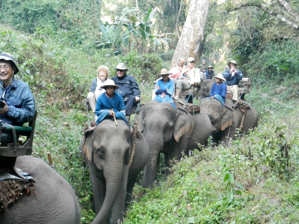 Our group trekking through the jungle