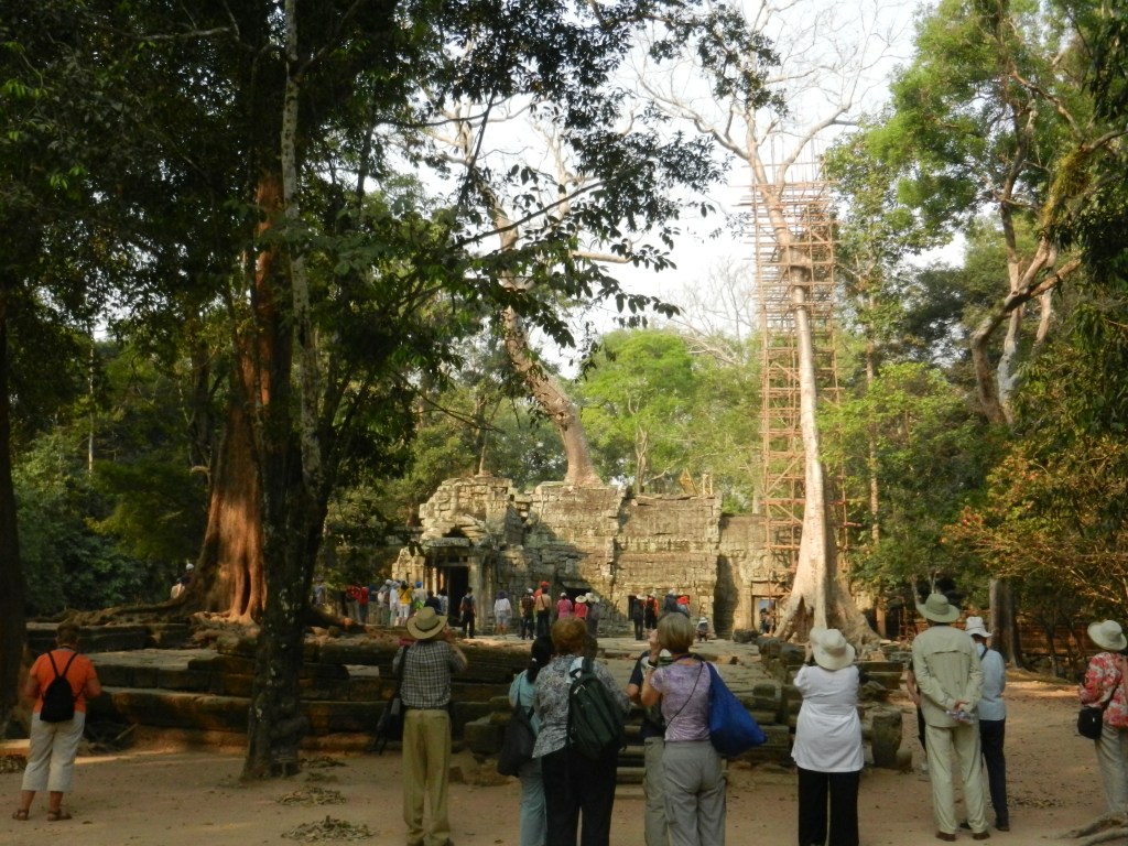 Tree growing on temple roof