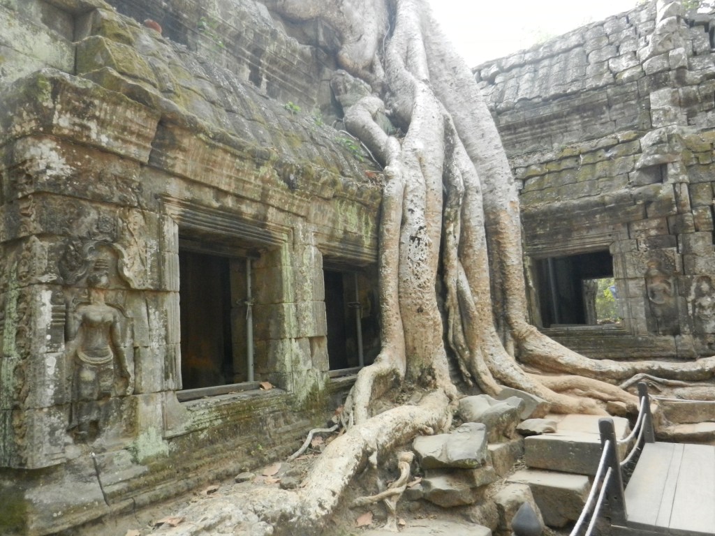 Tree roots swallowing structire