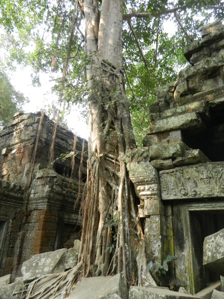 Strangle tree