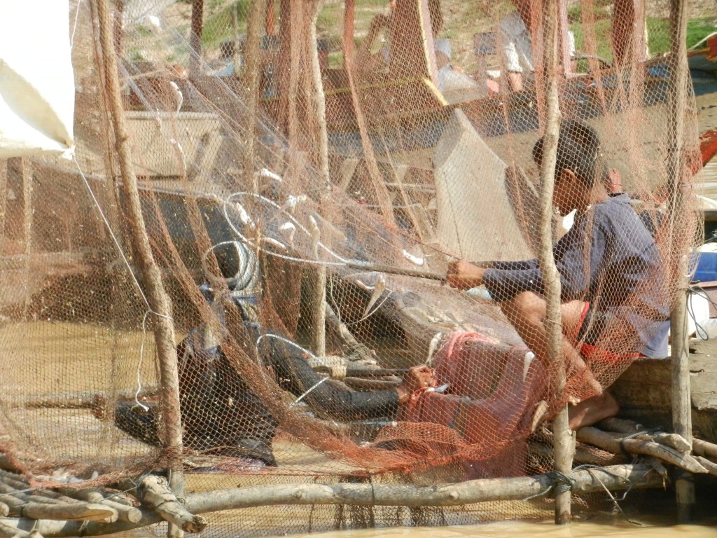 Getting the last few fish out of that net