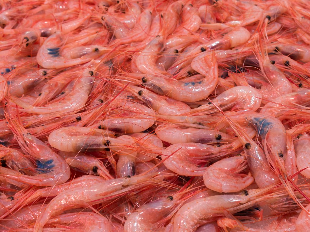 Prawns of course, this being a coastal city