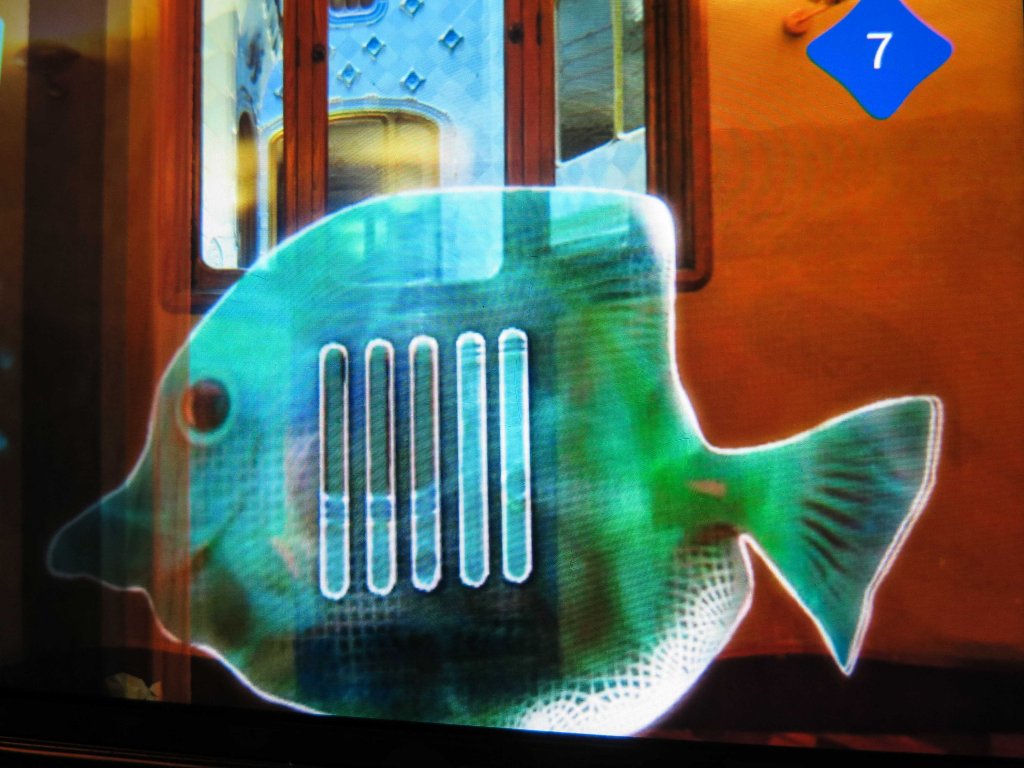 Fish swimming through my virtual view of the living room