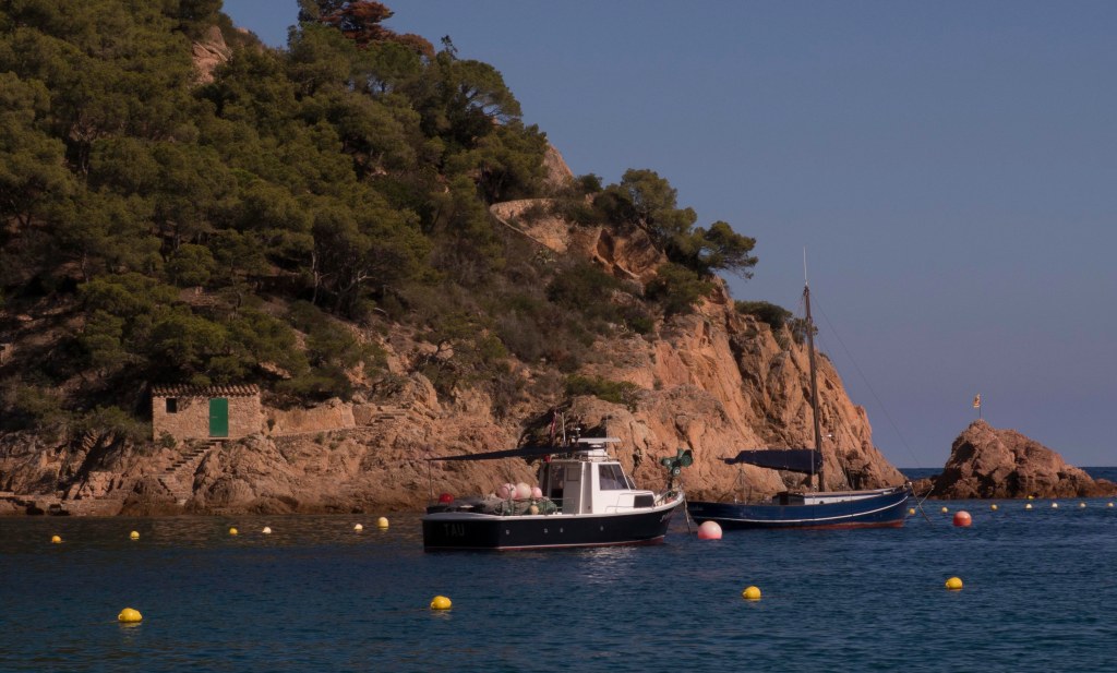A working boat in with the many leisure craft