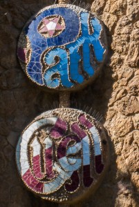IMG_2245