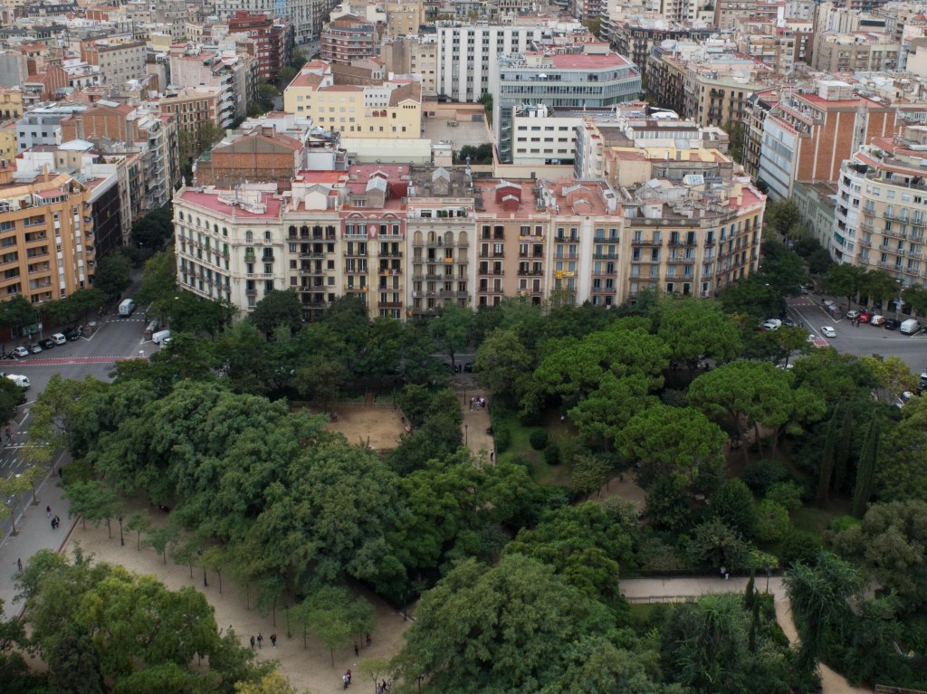 View from the tower