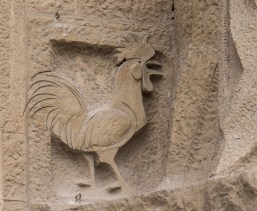 Nature-themed bird in new section