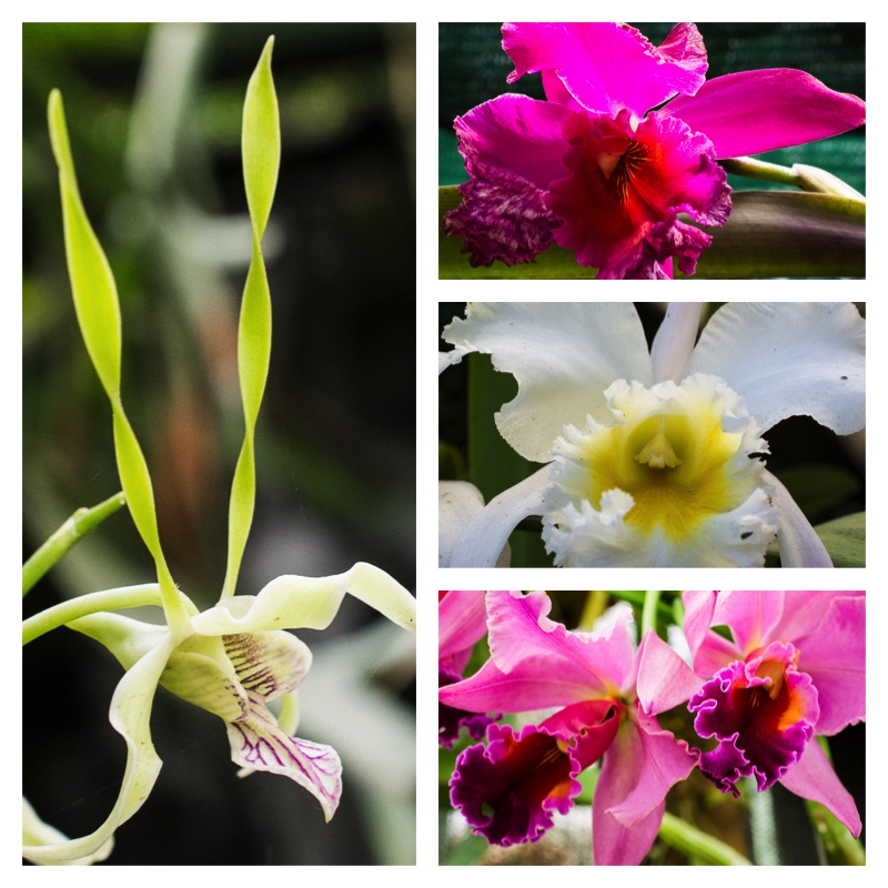 Collage colourful