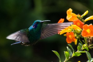 _DSC7751