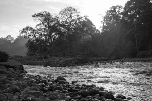 Early morning river
