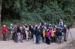 Quetzel paparazzi