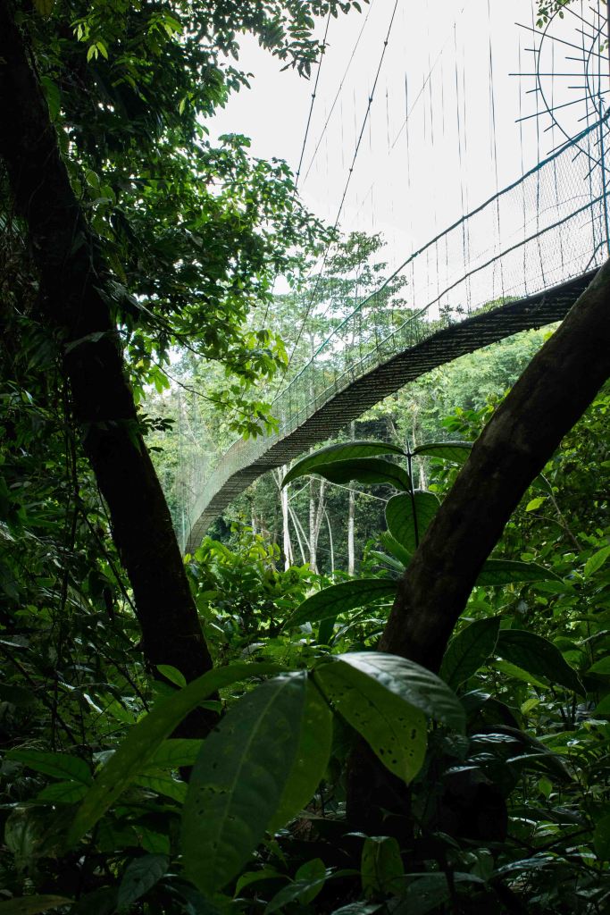 Suspension bridge over the river