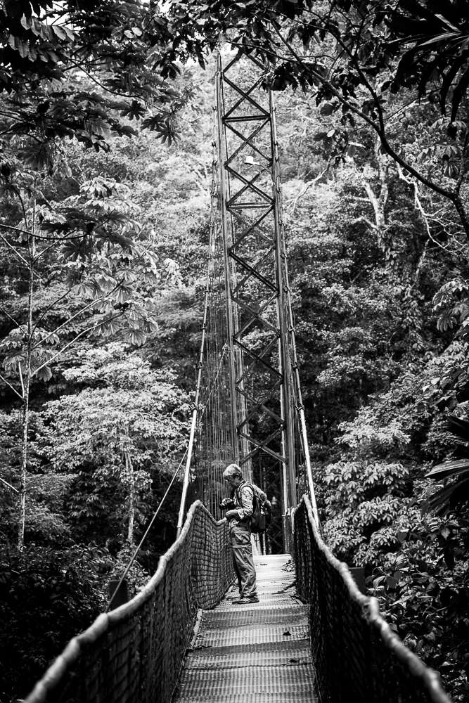 Suspension bridge