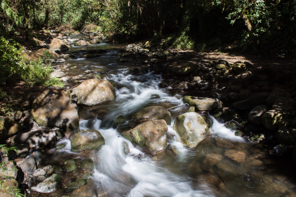 Use this water photo